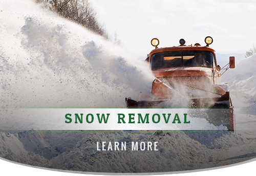 snow-removal